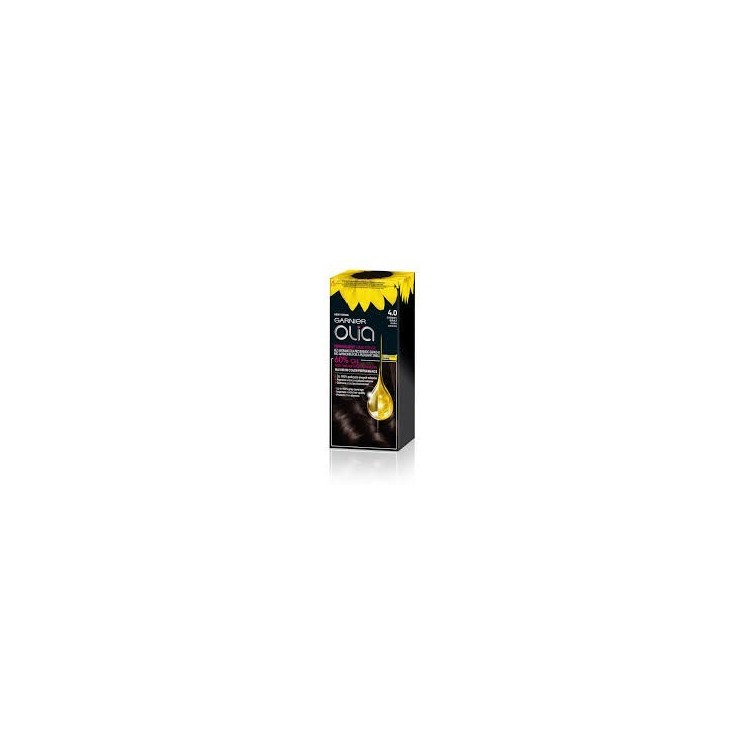 Garnier Olia Hair dye /4.0/ Dark brown