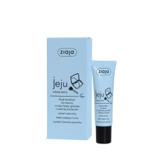 Ziaja Jeju Fluid-korektor do twarzy 30 ml Ziaja Jeju Fluid-korektor do twarzy 30 ml