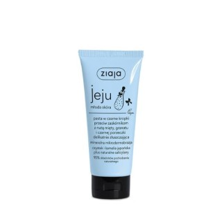 Ziaja Jeju Black Dot Paste gegen Mitesser 75 ml