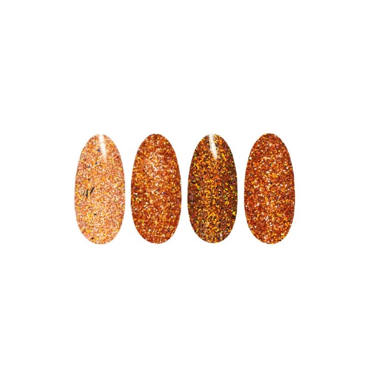 Пудра для нігтів Ronney Holo Effect /28/ Brick