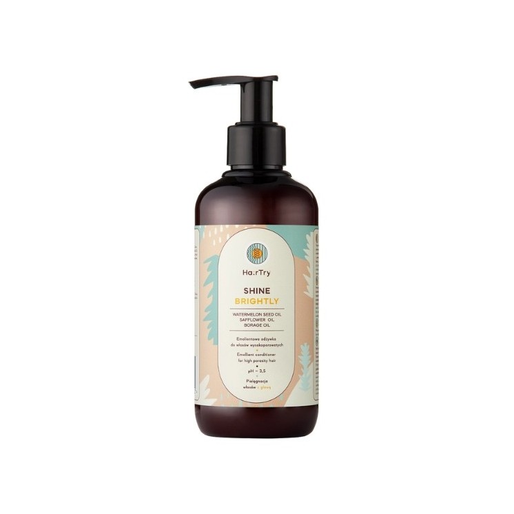 HairTry Shine Brightly zmiękczająca Odżywka do włosów wysokoporowatych 250 ml