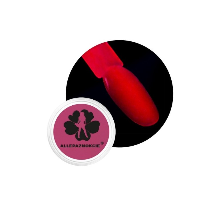 Allepaznokcie Neon UV Nagelpulver /10/ 0,06 g